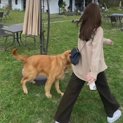 墙里的秘密